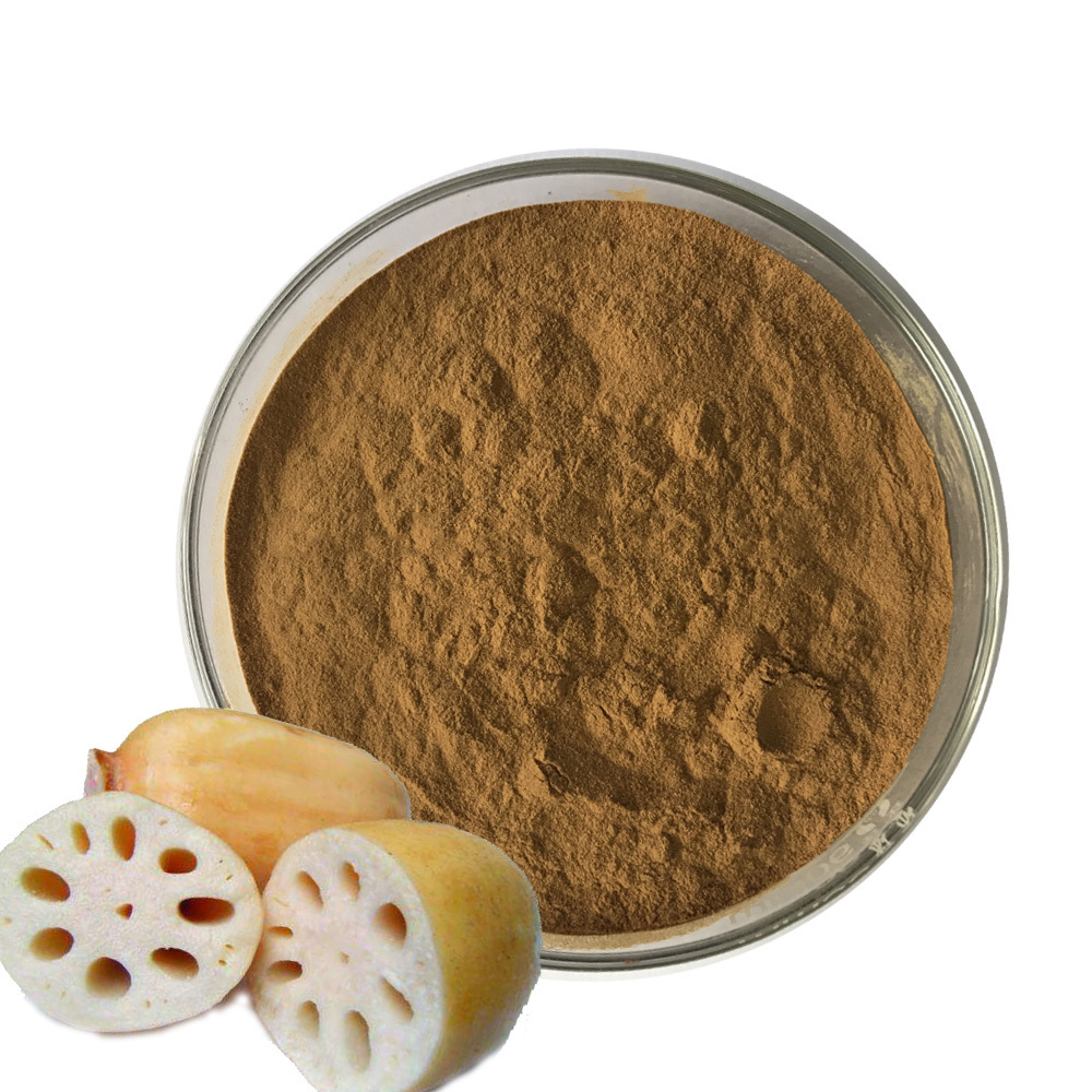 Lotus Leaf Extract Lotus Leaf Extract Supplier and Manufacturer in